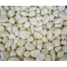 Fresh Peeled Garlic manufacturer from China